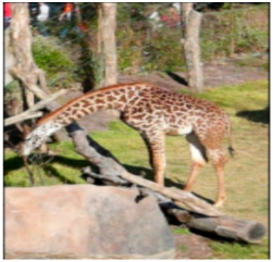 Applsci 12 06733 i001