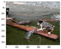 Applsci 12 06733 i014