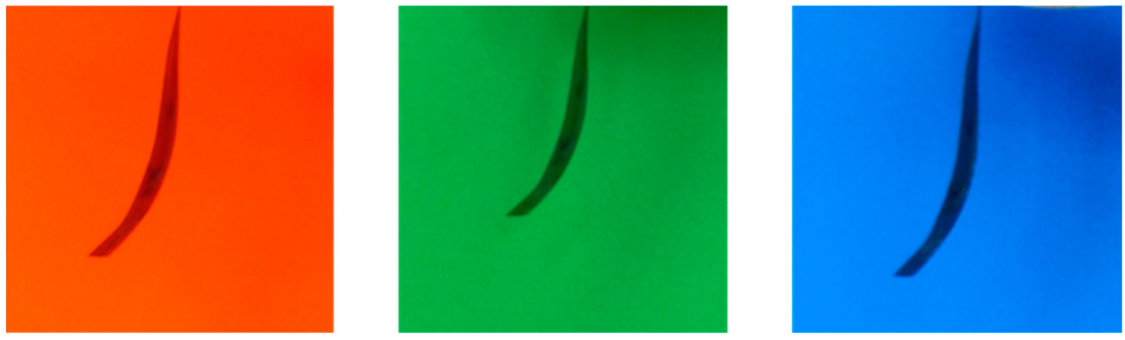 Applsci 12 06744 g016