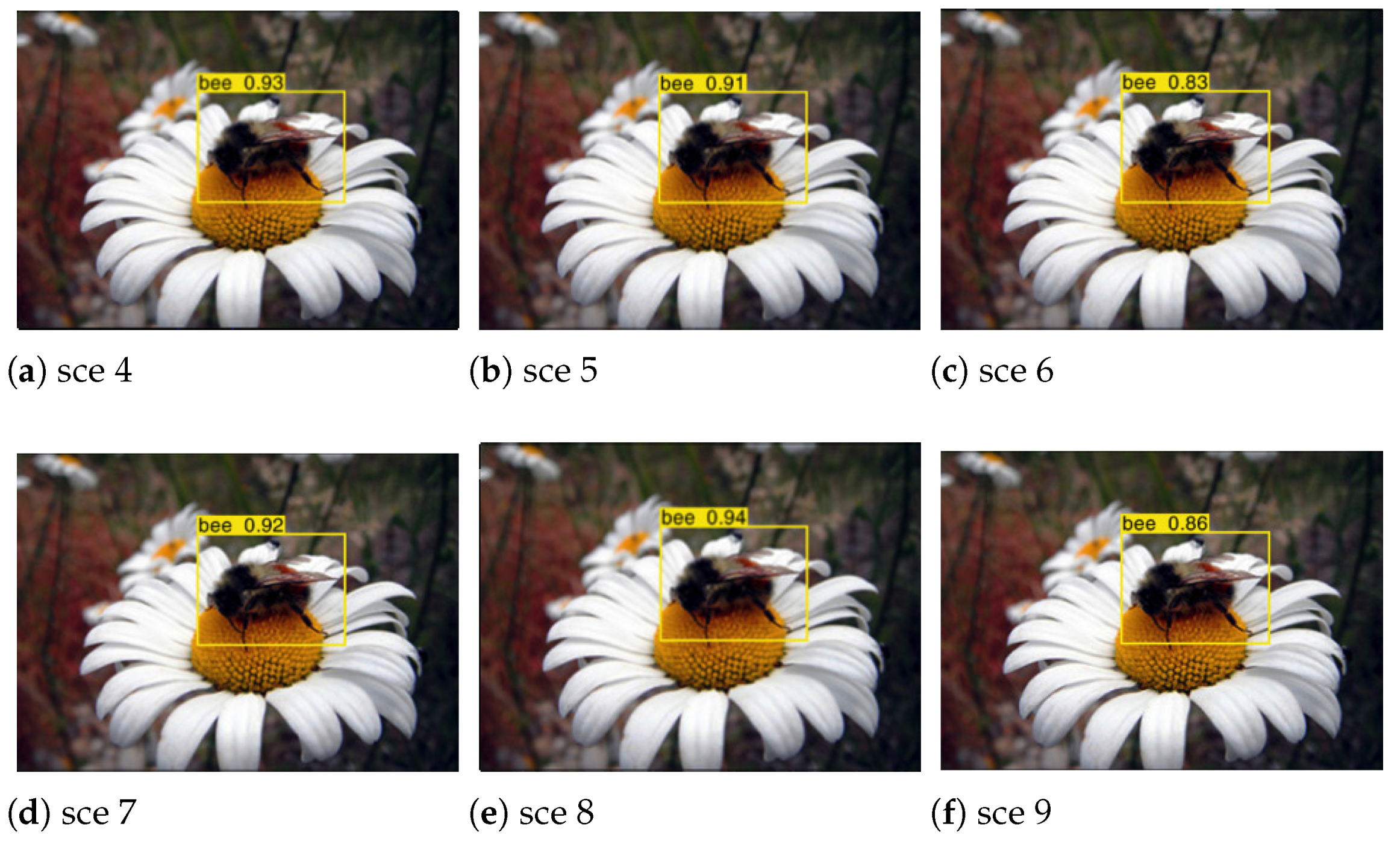 Applsci 12 06753 g021