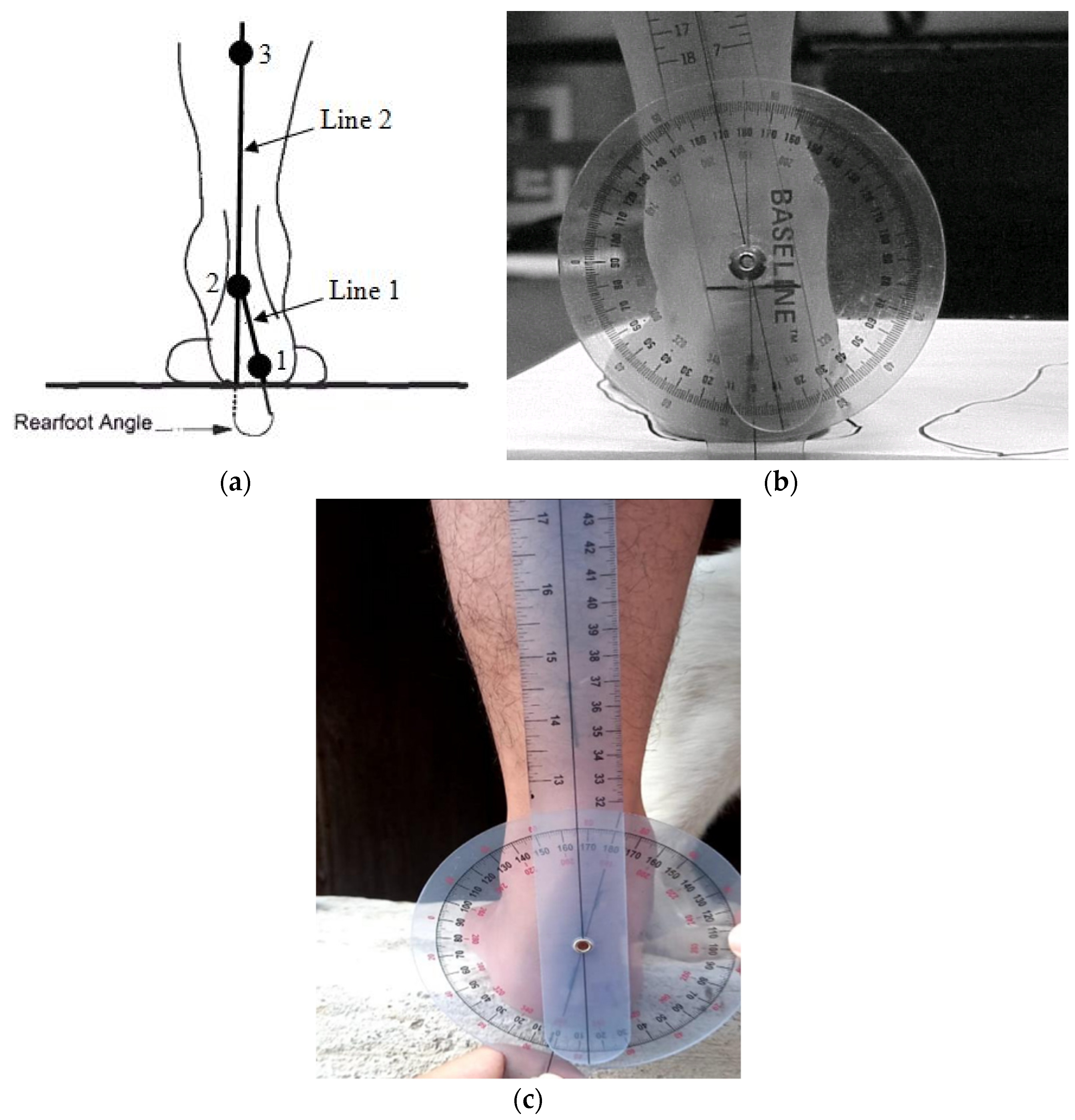 Applsci 12 06764 g003