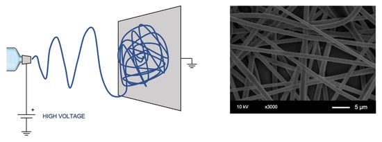 Applsci 12 06771 g003 550