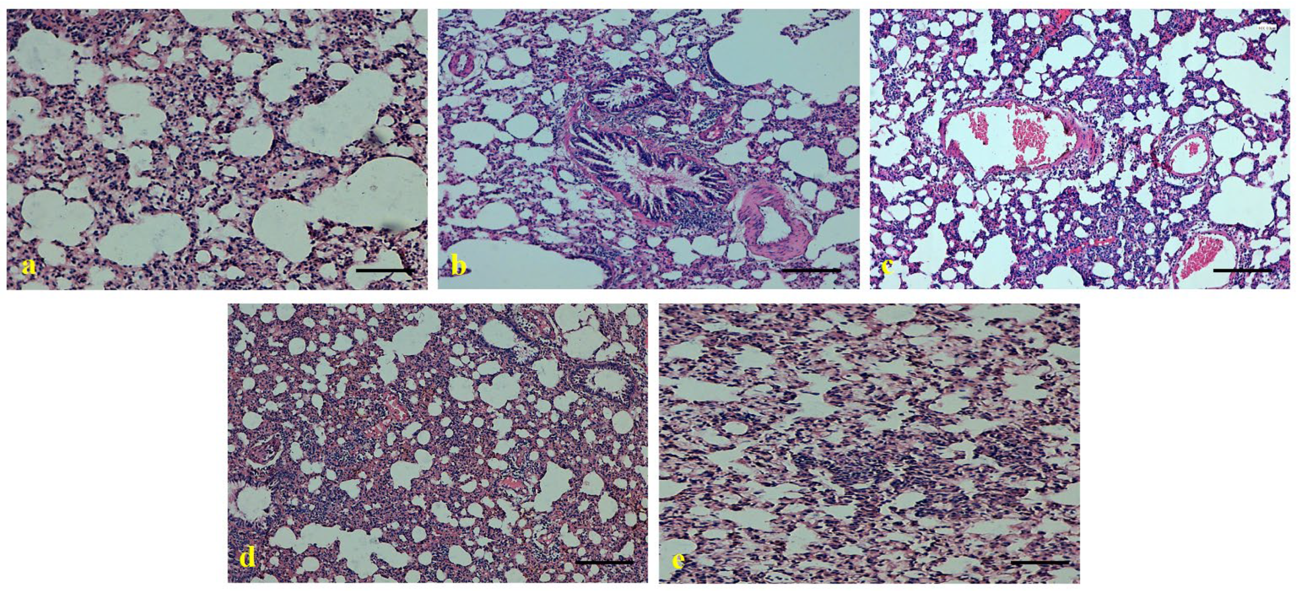 Applsci 12 06784 g007