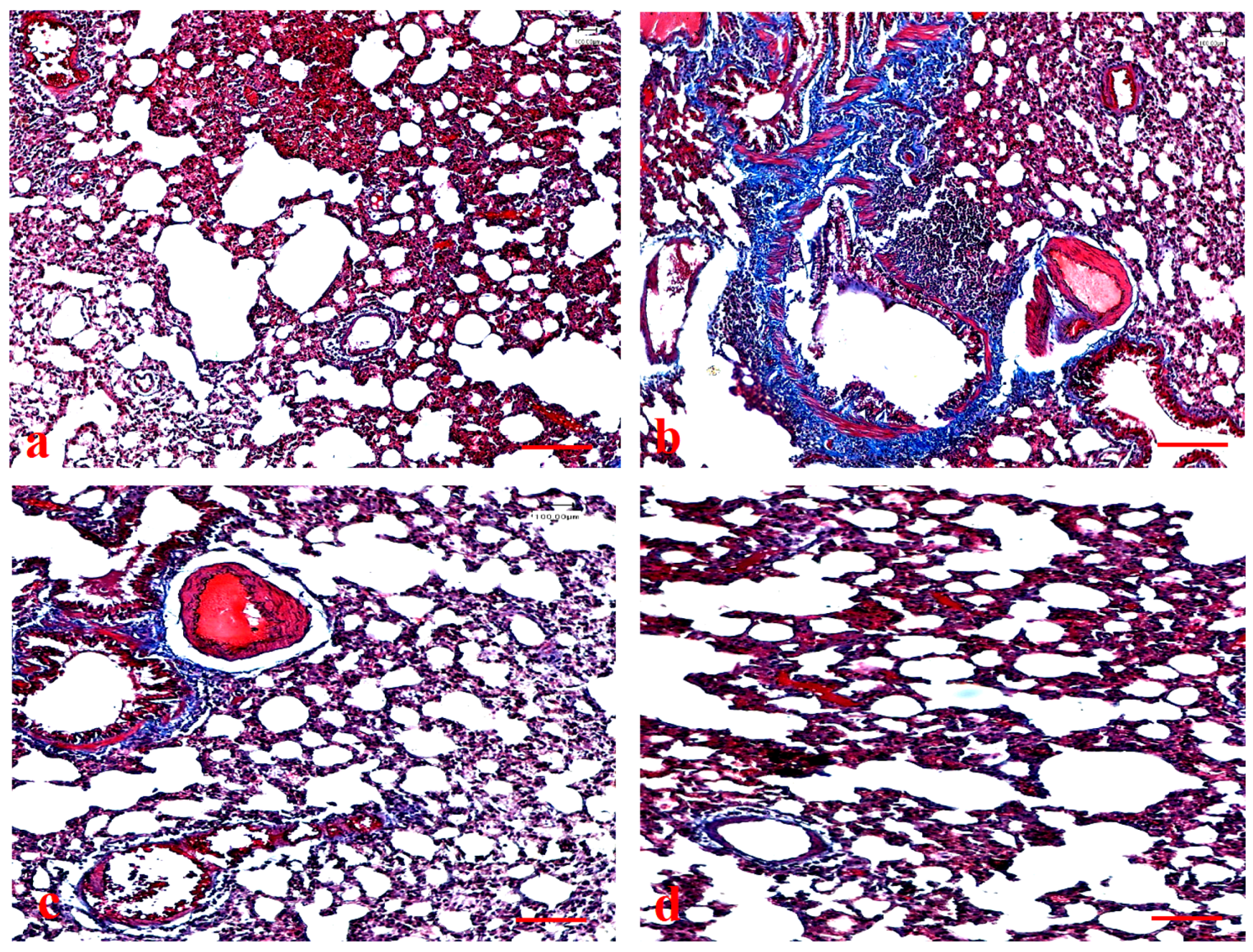 Applsci 12 06784 g008