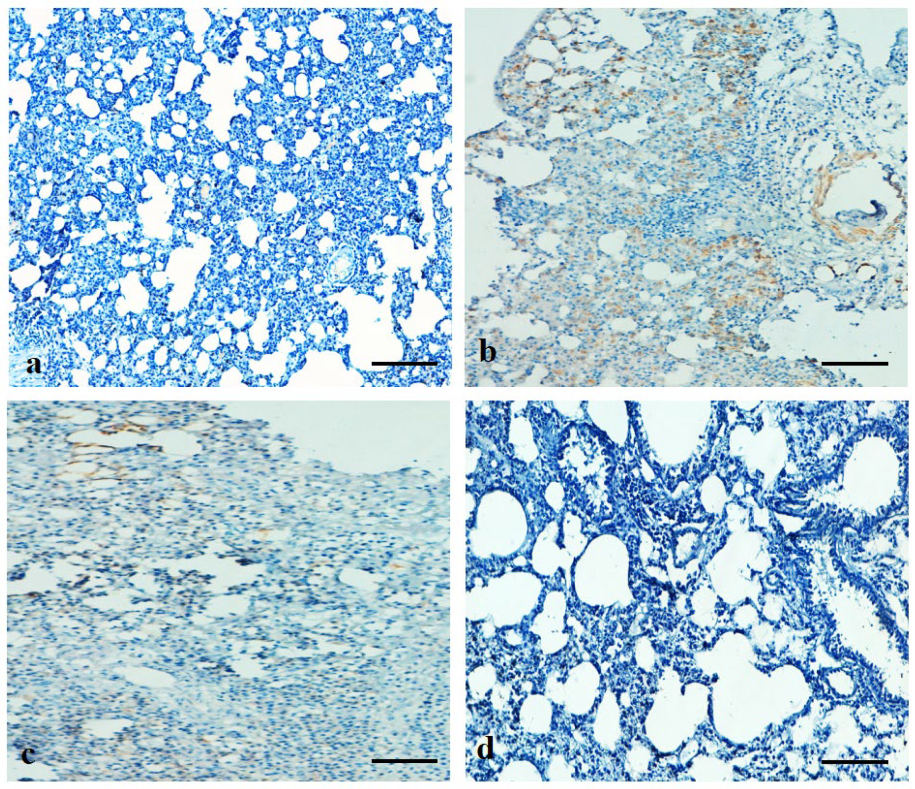 Applsci 12 06784 g010