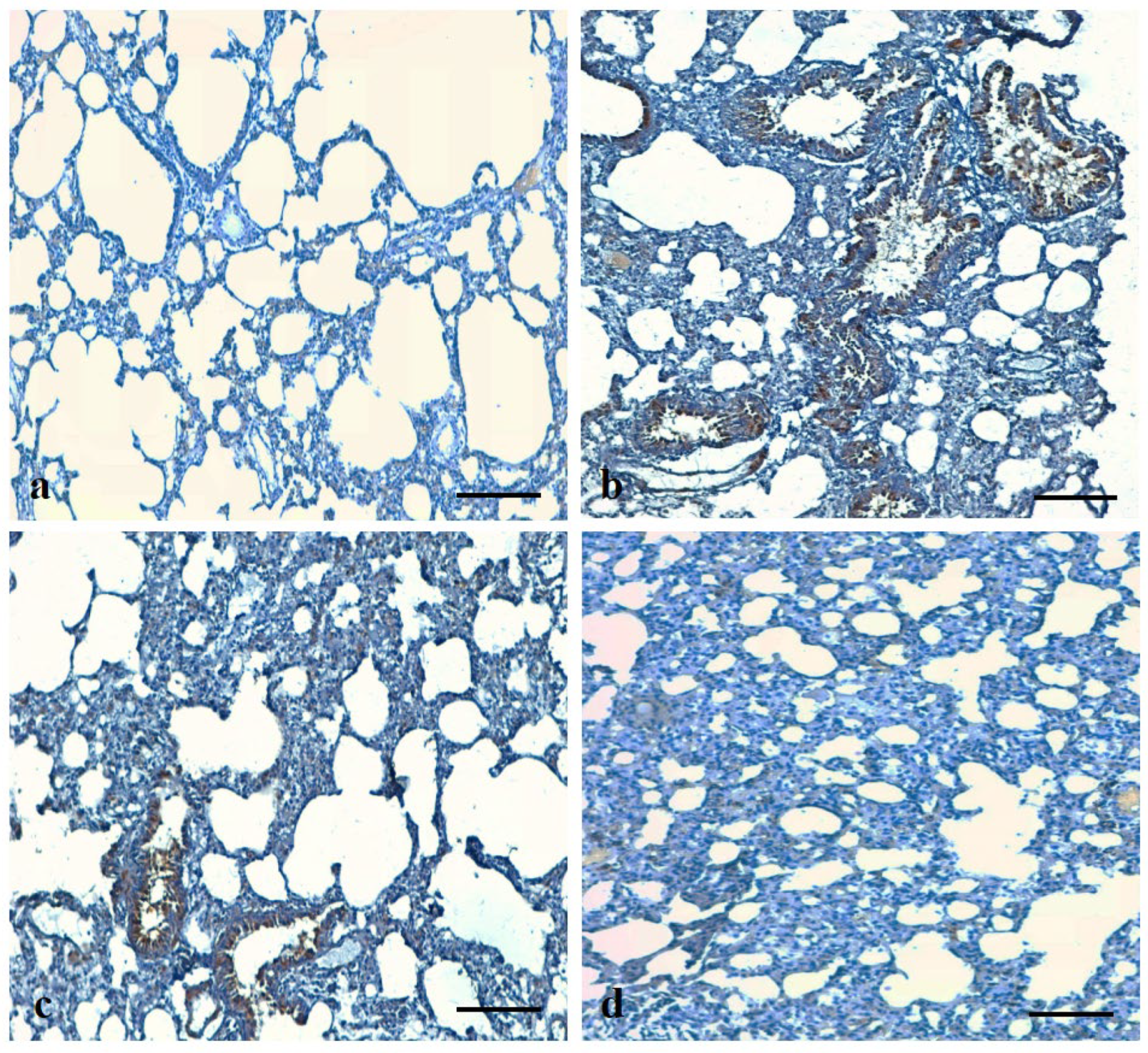 Applsci 12 06784 g011