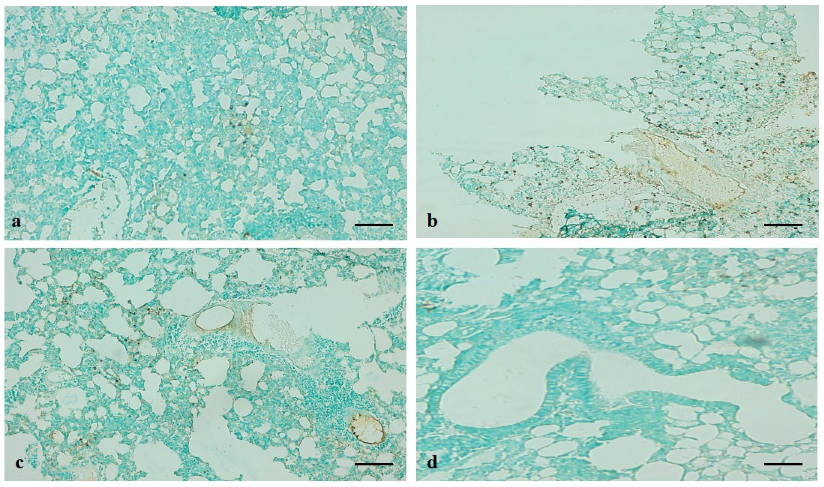 Applsci 12 06784 g012