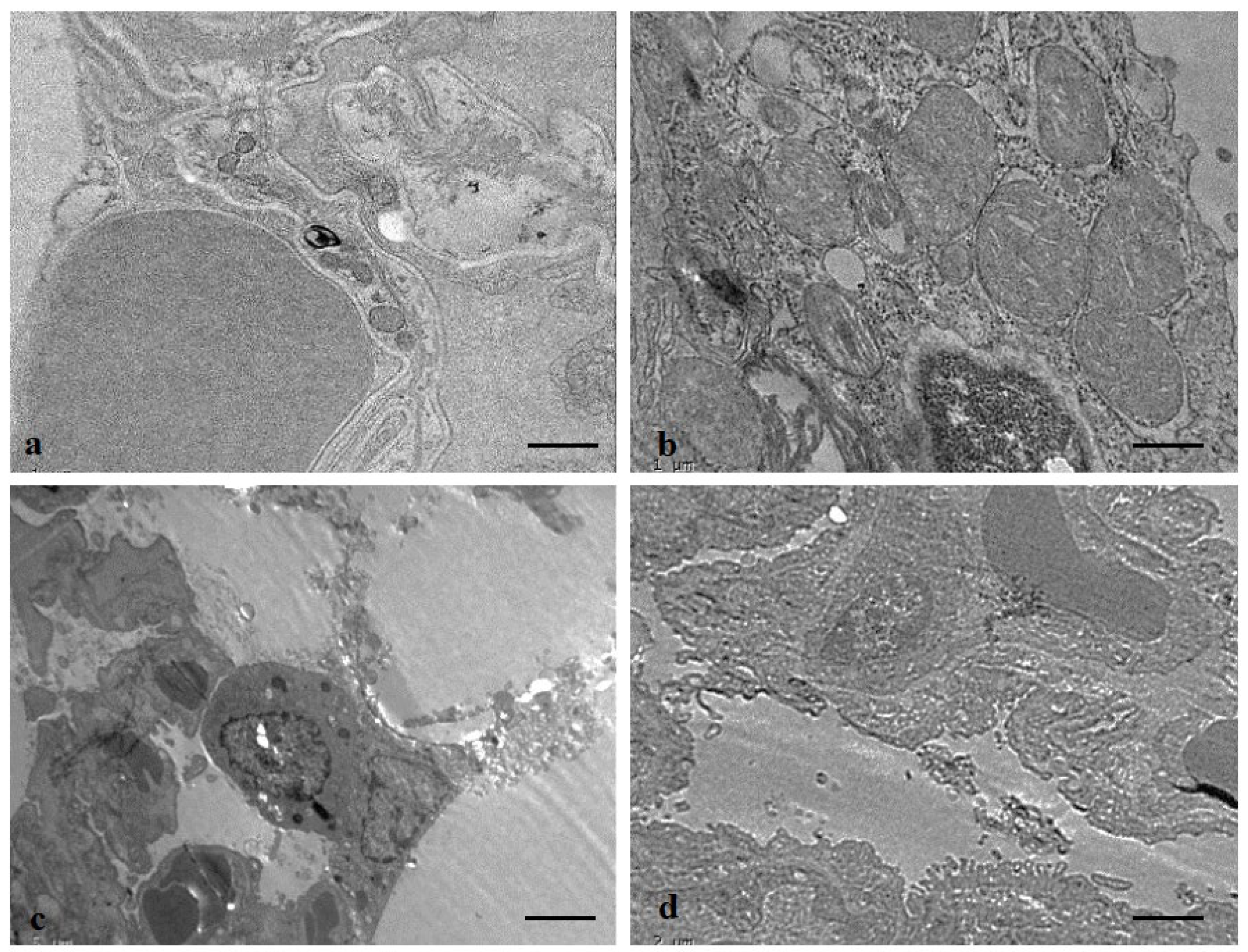 Applsci 12 06784 g013