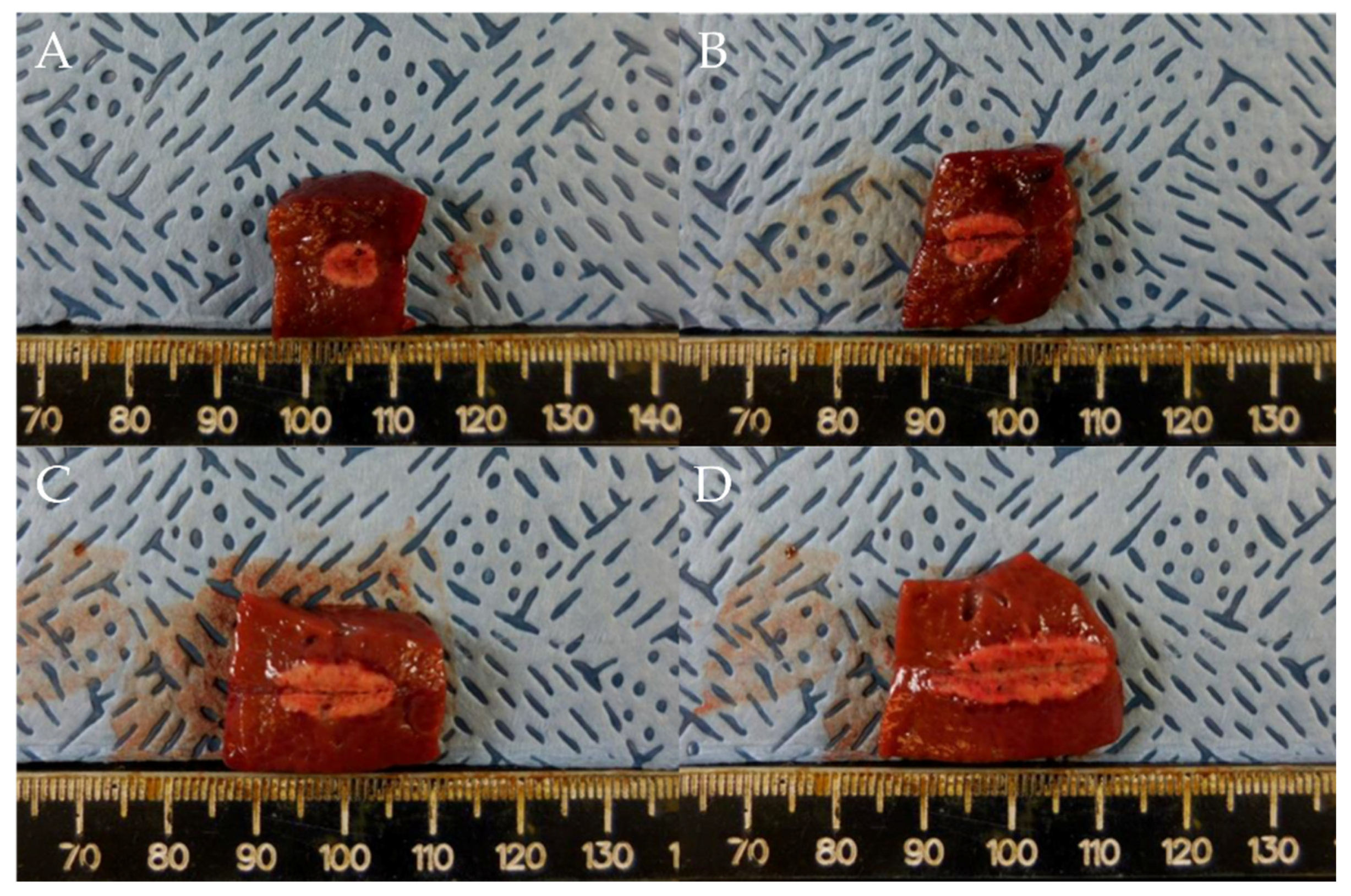 Applsci 12 06791 g002