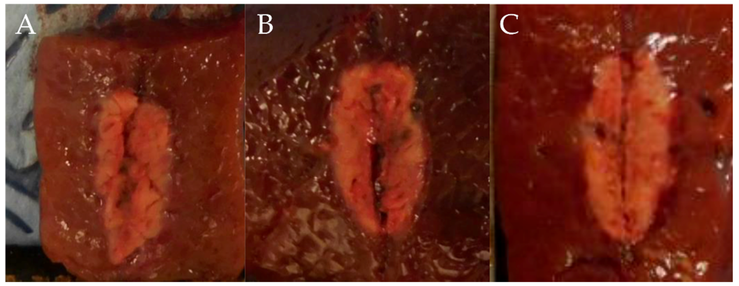 Applsci 12 06791 g004