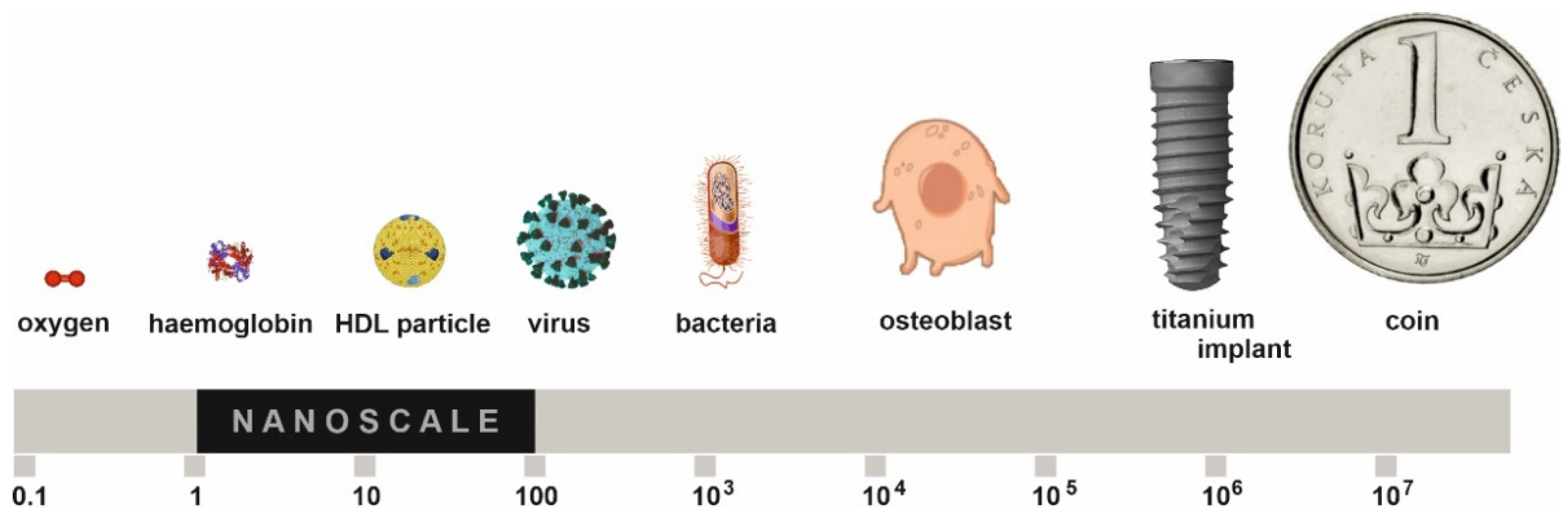 Applsci 12 06793 g001