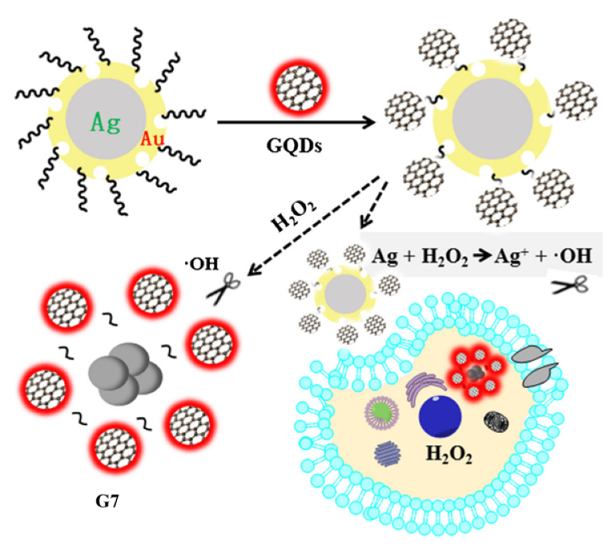 Applsci 12 06844 g009