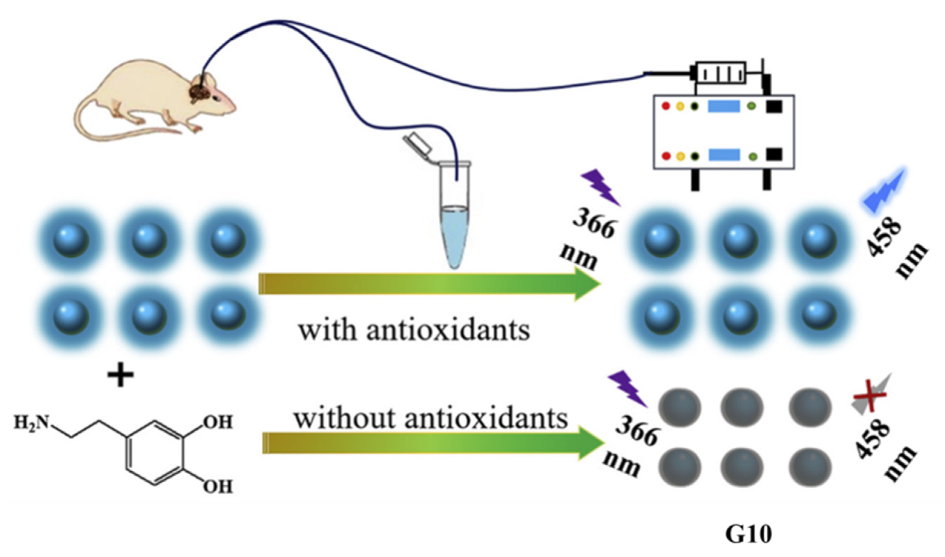 Applsci 12 06844 g012