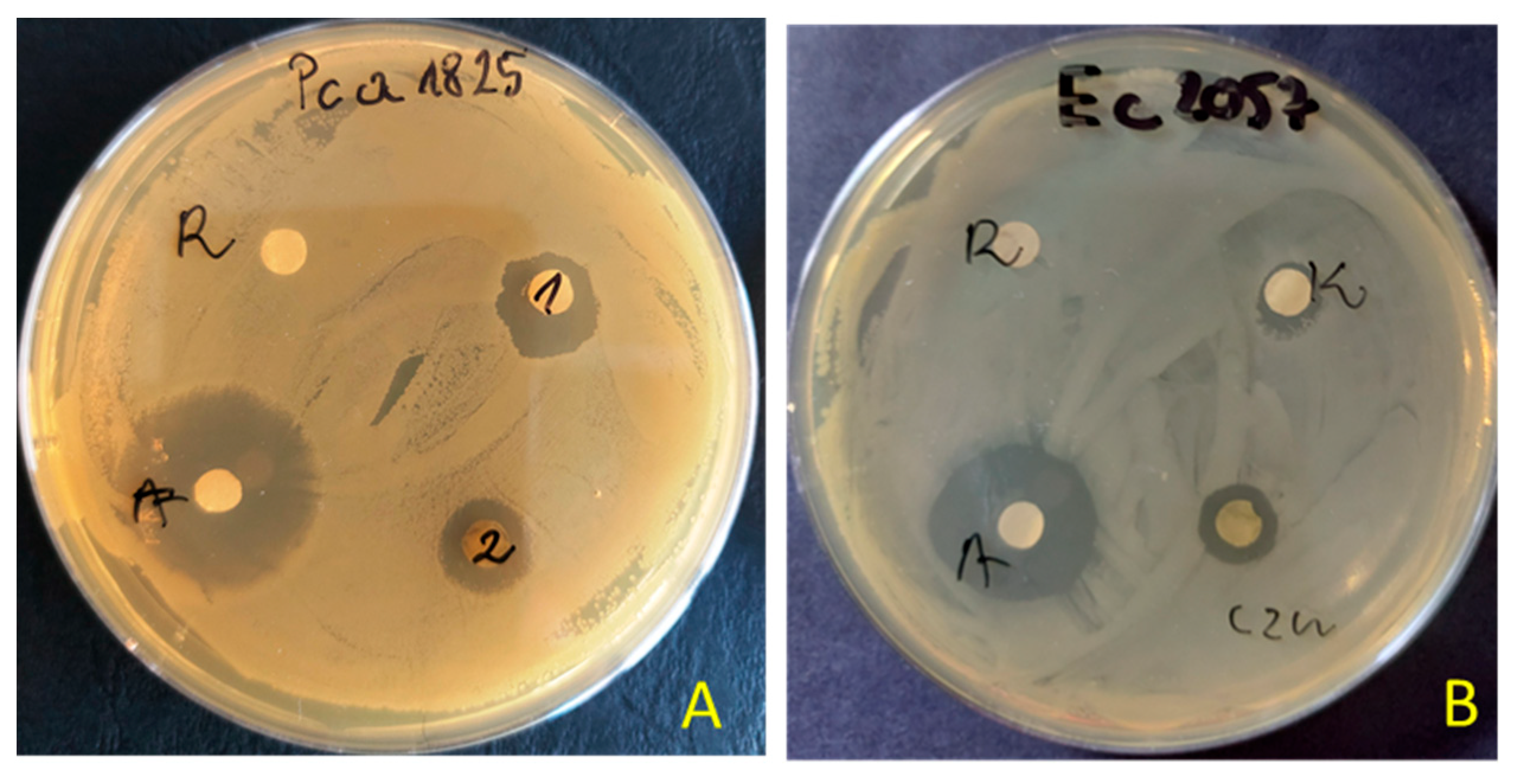 Applsci 12 06845 g001