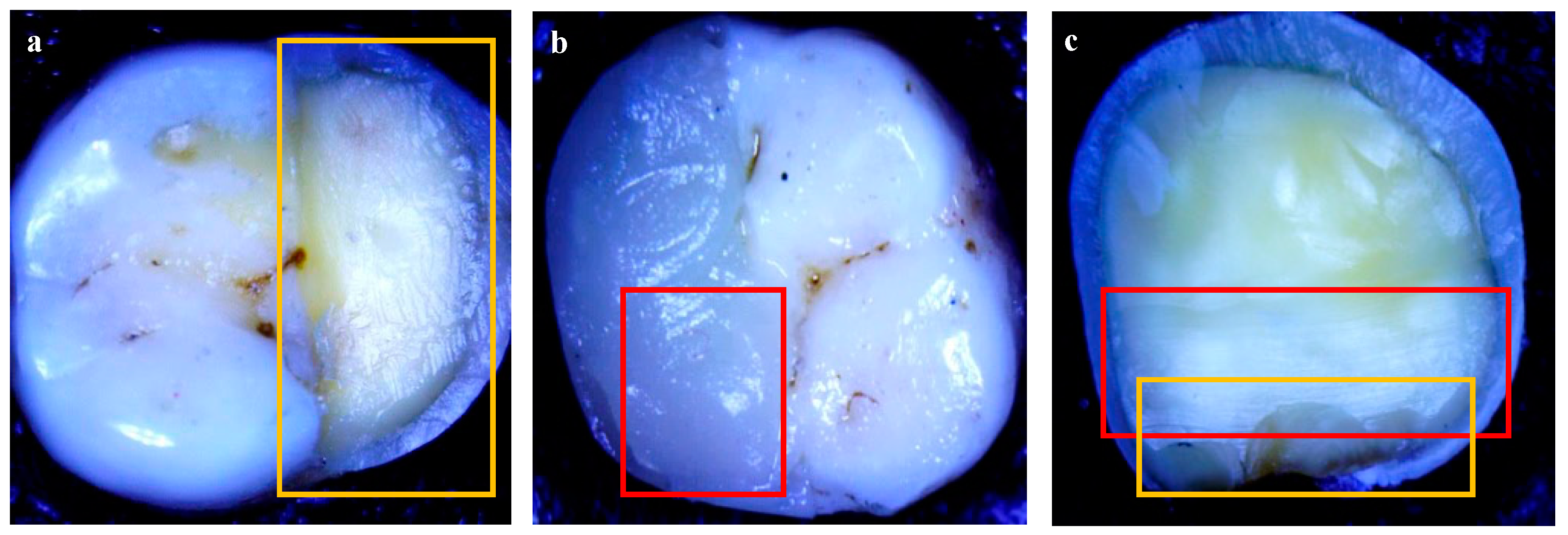 Applsci 12 06877 g004