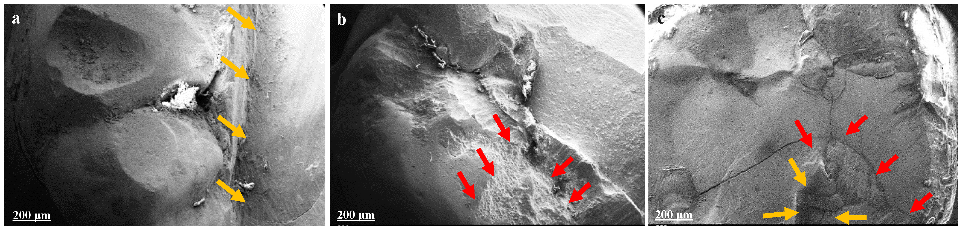 Applsci 12 06877 g005