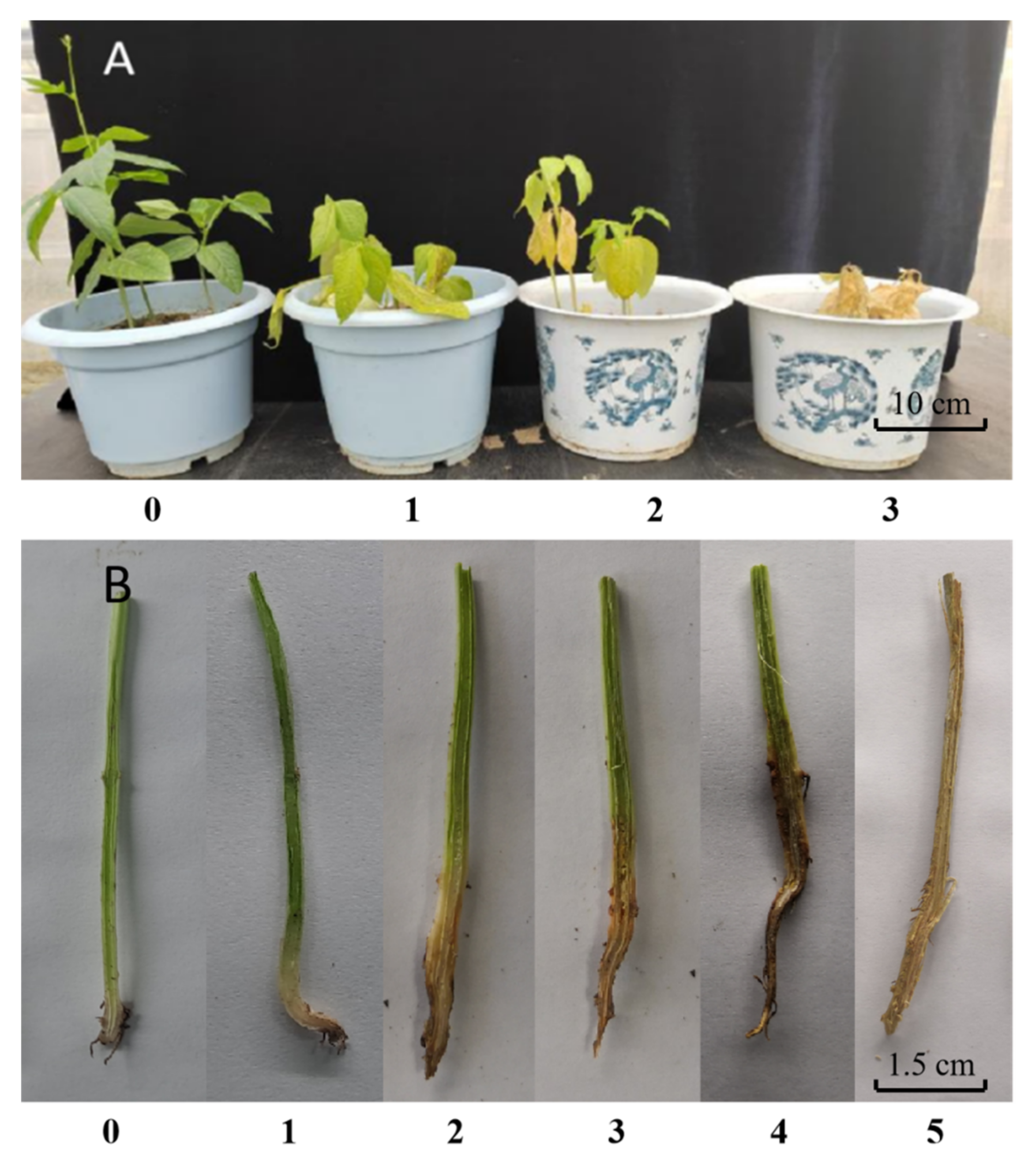 Applsci 12 06889 g001