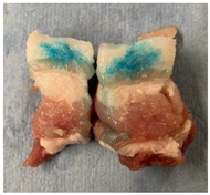 Applsci 12 06920 i003