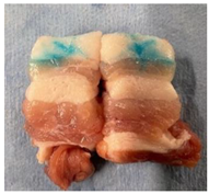 Applsci 12 06920 i004