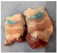 Applsci 12 06920 i005