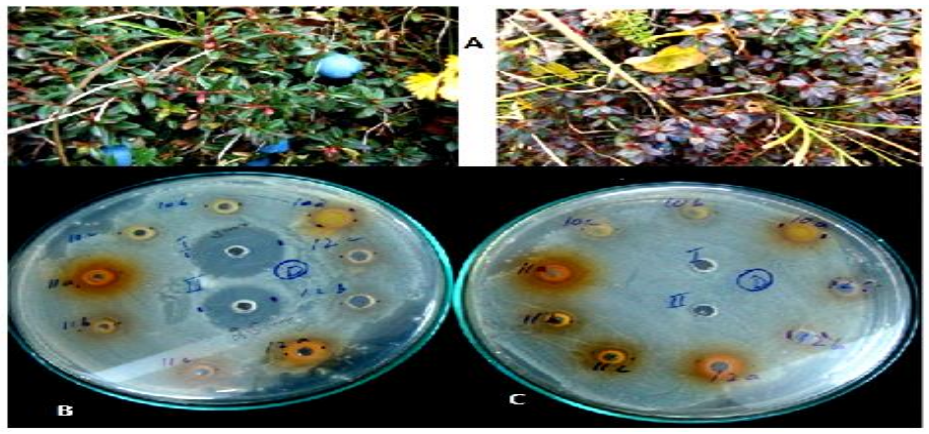 Applsci 12 06921 g004