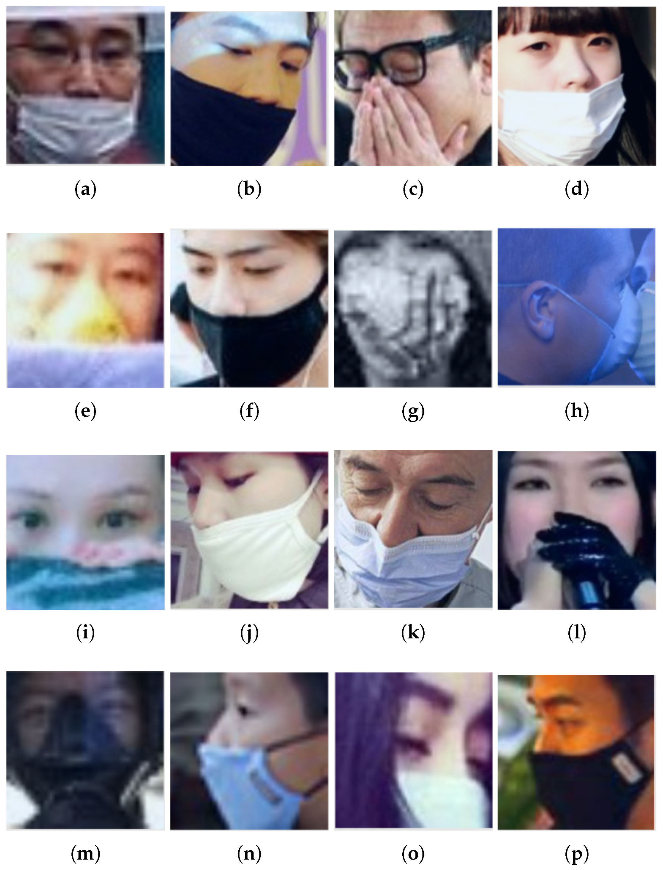 Applsci 12 06924 g017