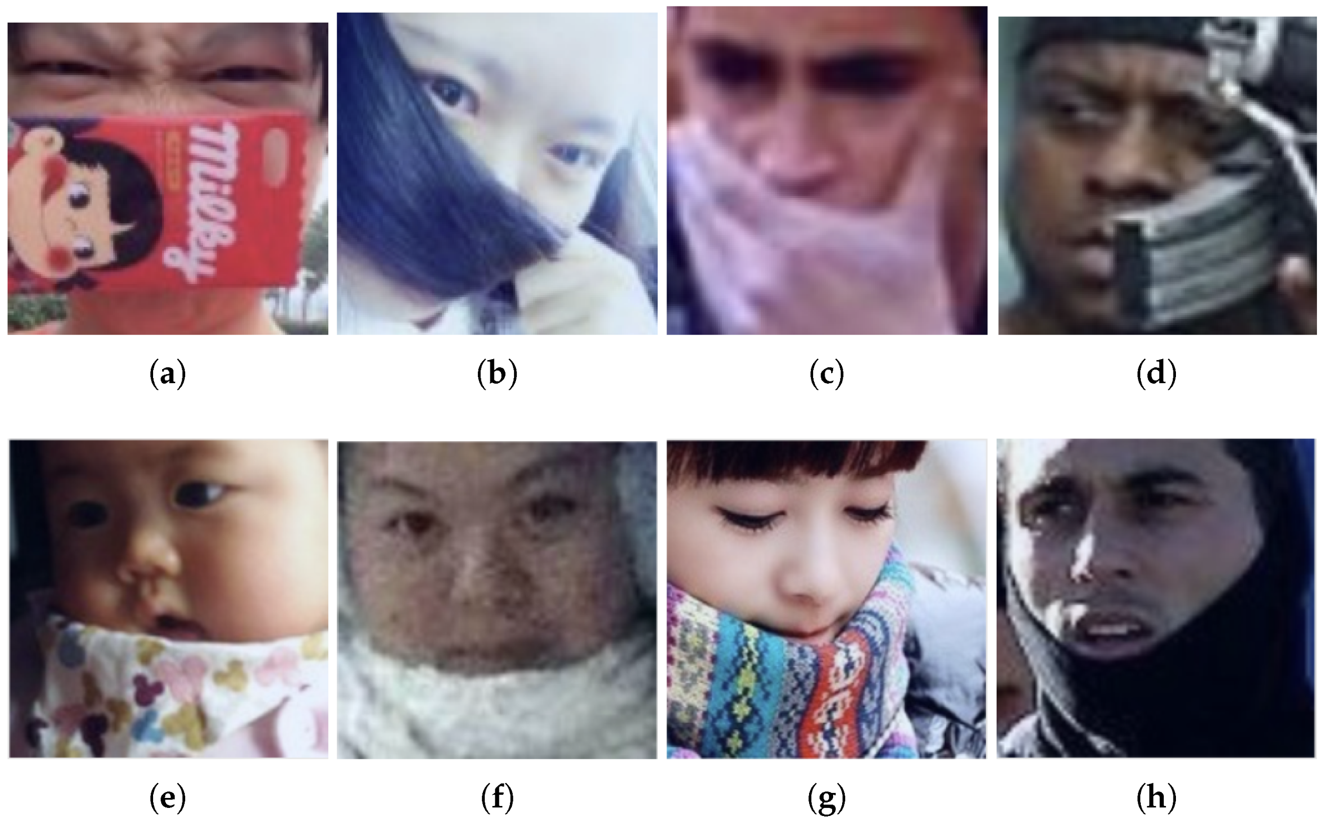 Applsci 12 06924 g019