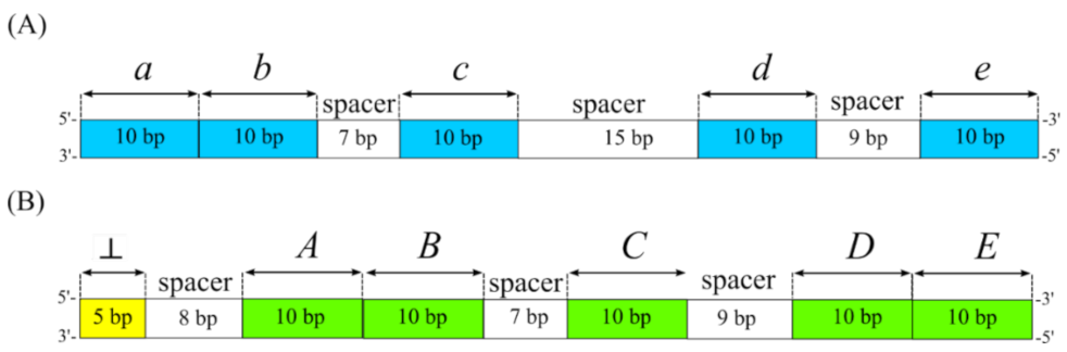 Applsci 12 06928 g005