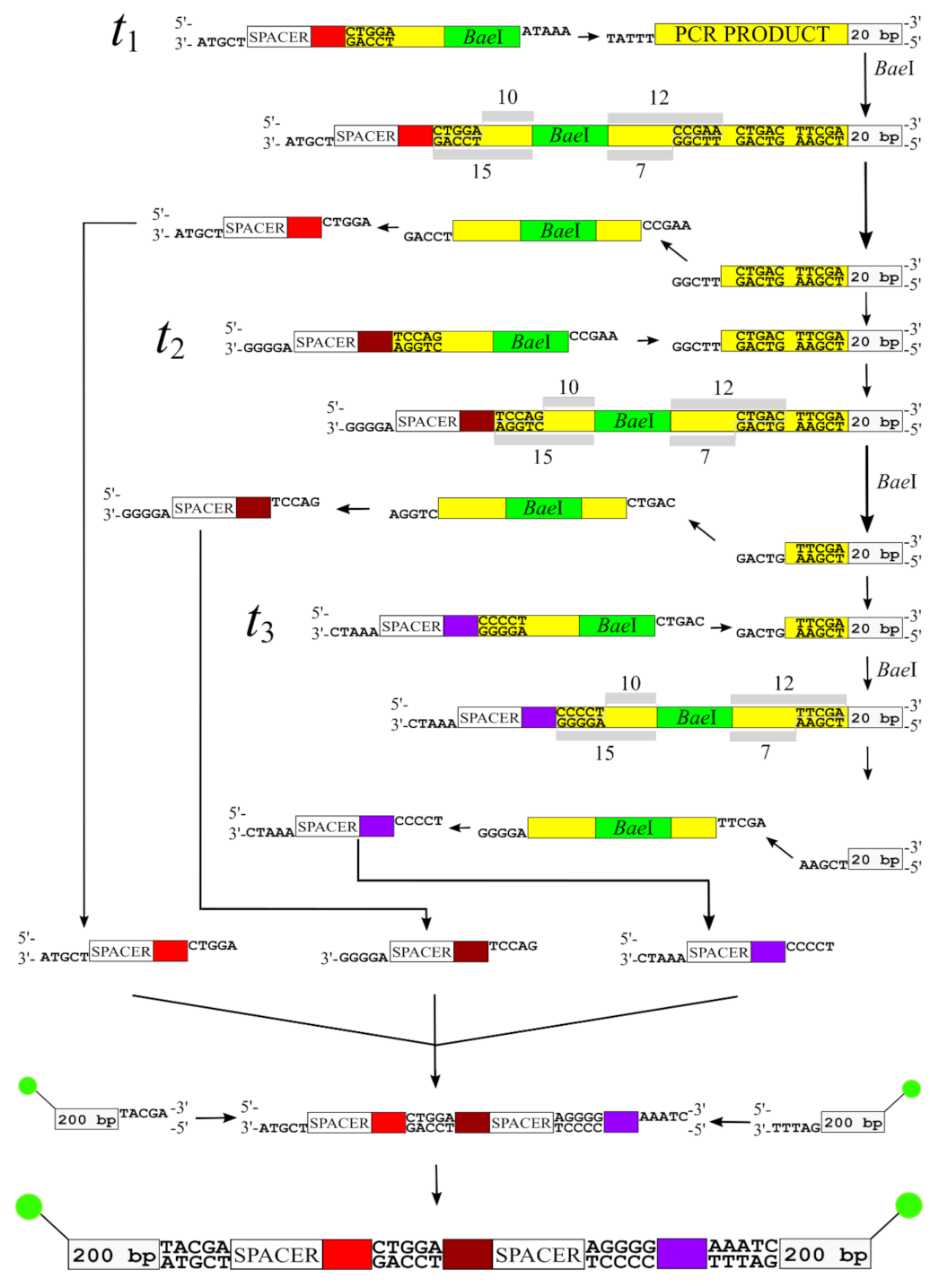 Applsci 12 06928 g008