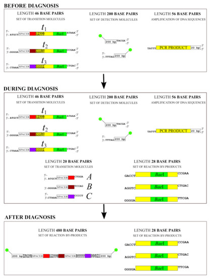 Applsci 12 06928 g0a2
