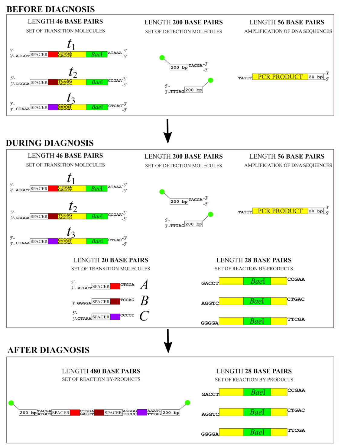 Applsci 12 06928 g0a2
