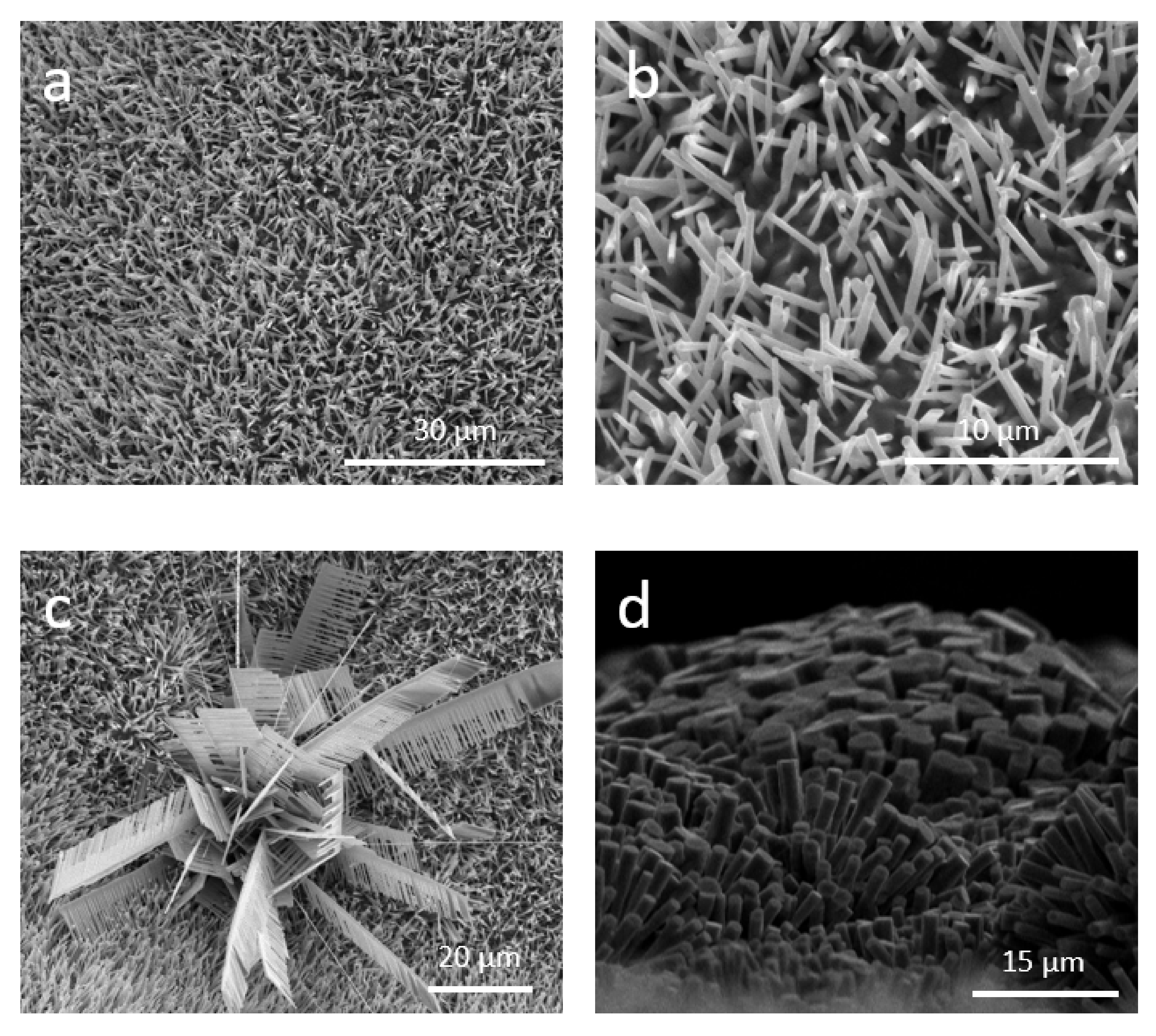 Applsci 12 06948 g002 Applsci 12 06948 g002