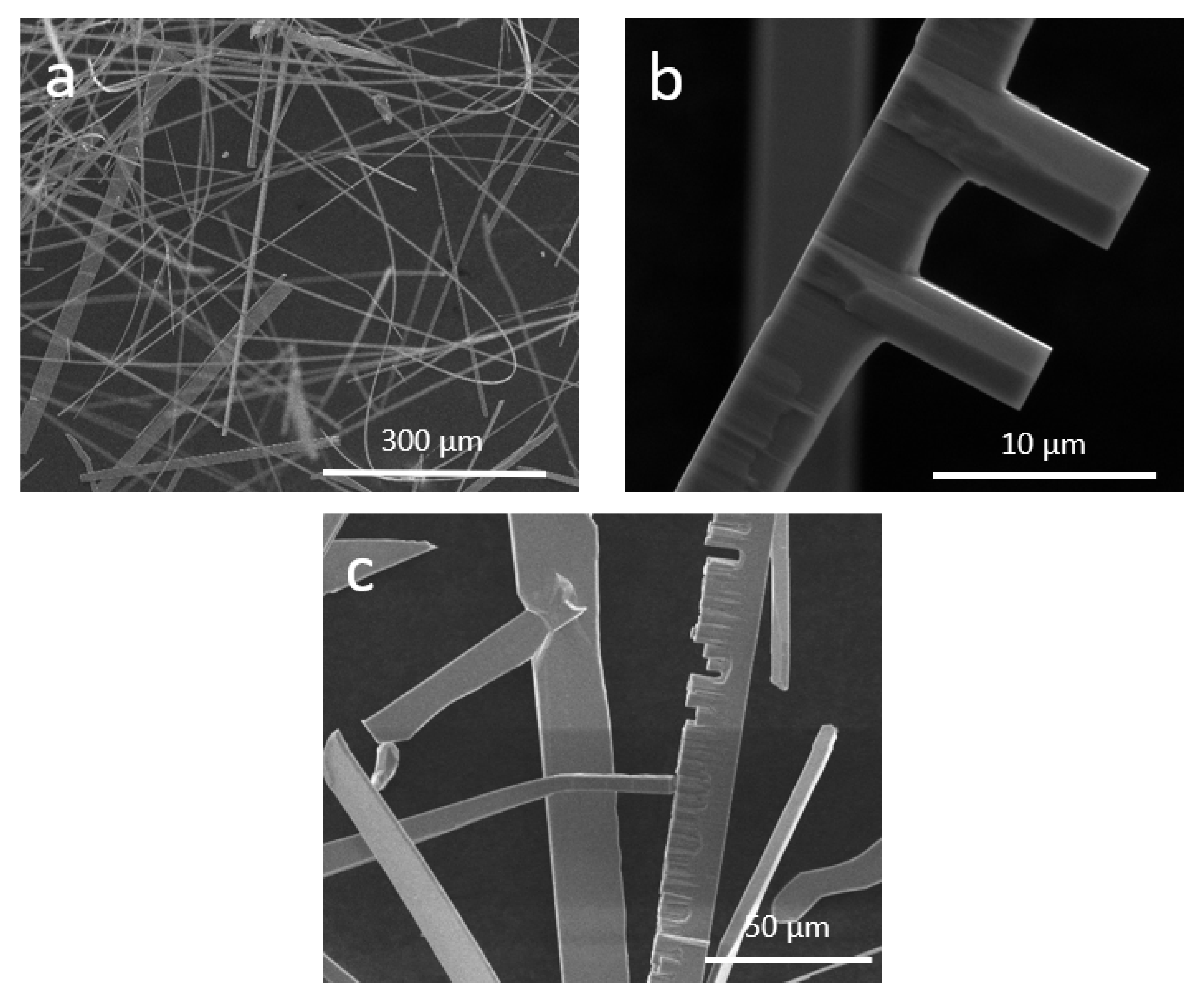 Applsci 12 06948 g004 Applsci 12 06948 g004