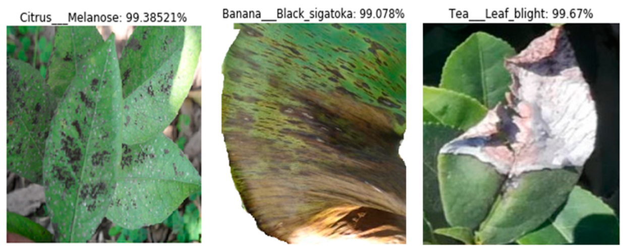 Applsci 12 06982 g004 Applsci 12 06982 g004