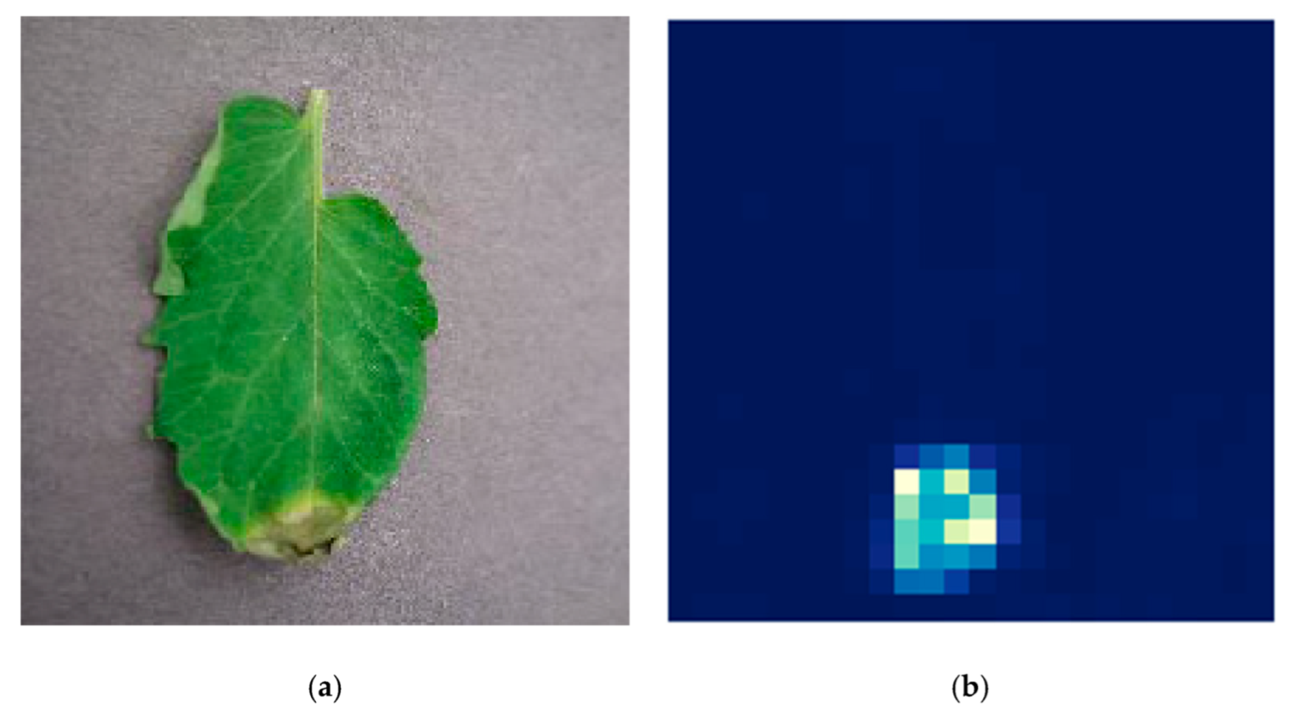 Applsci 12 06982 g005 Applsci 12 06982 g005