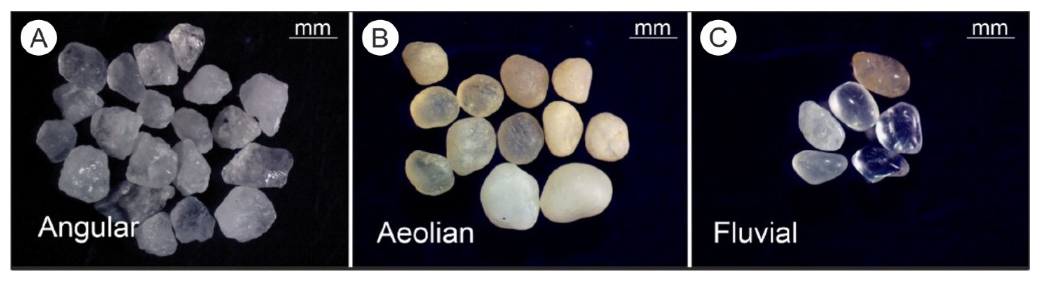 Applsci 12 06985 g002