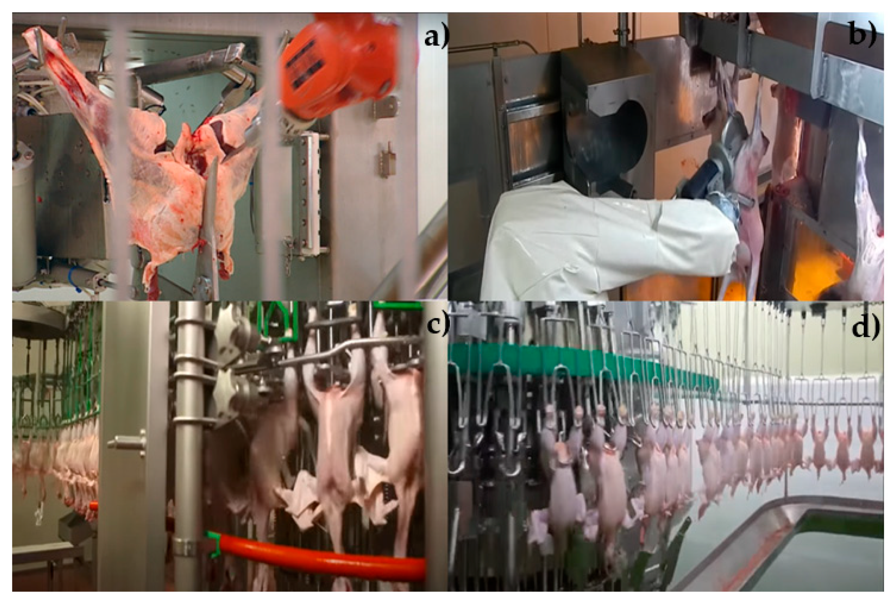 Applsci 12 06986 g003