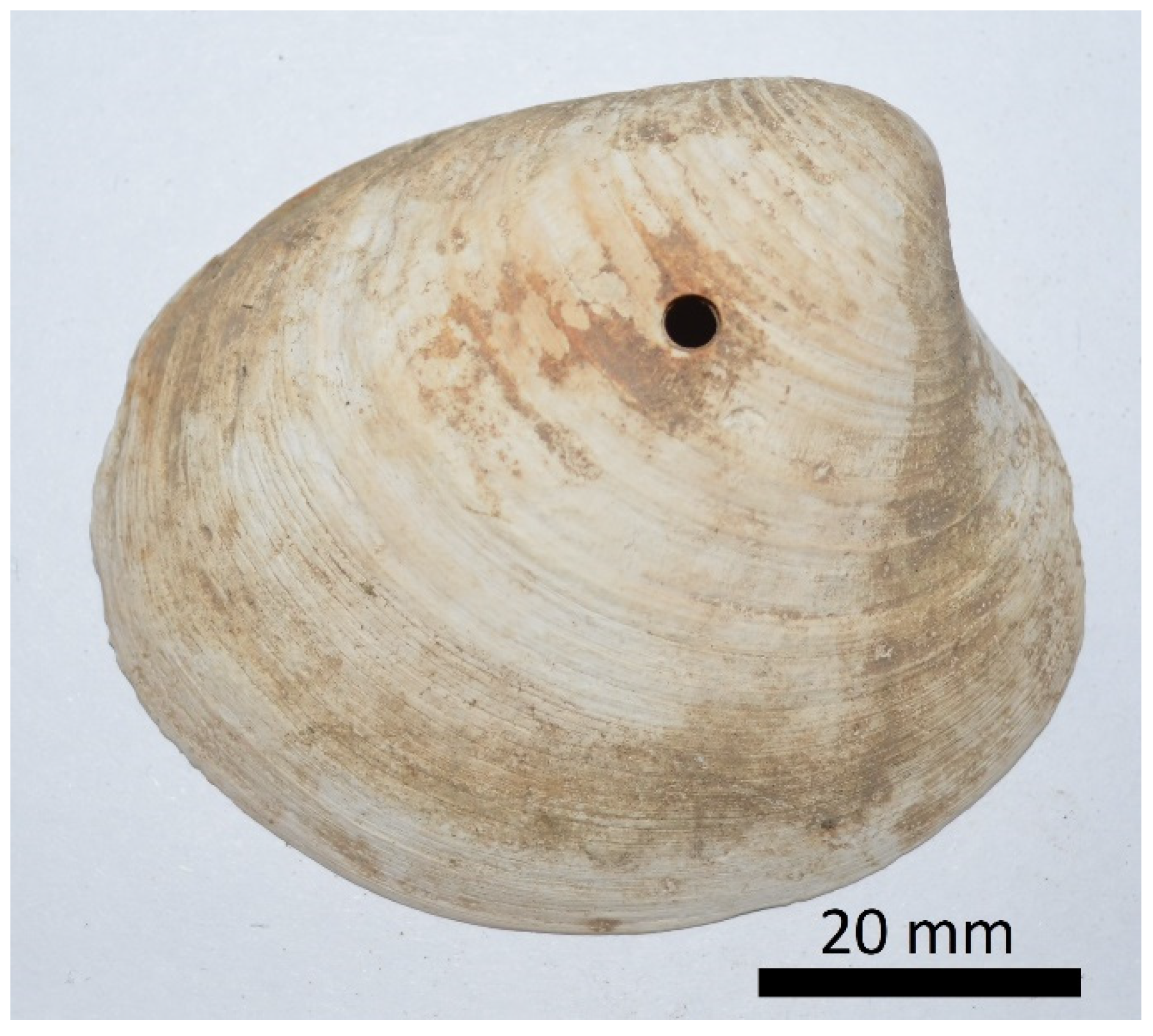 Applsci 12 06988 g002