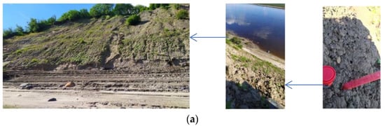 Applsci 12 06988 g005a 550