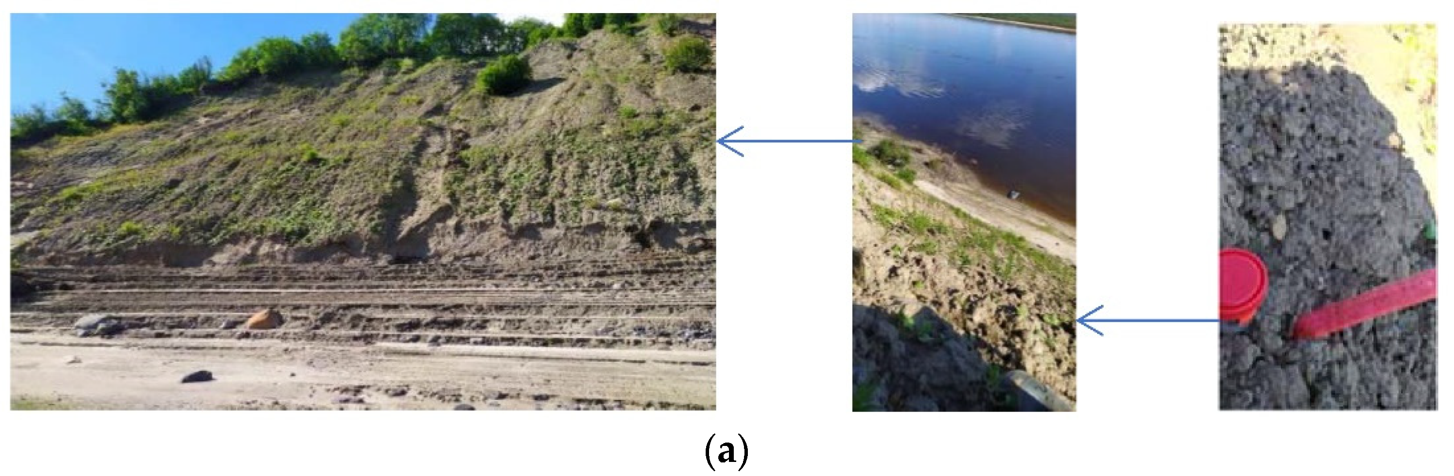 Applsci 12 06988 g005a