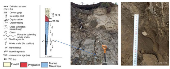 Applsci 12 06988 g006a 550