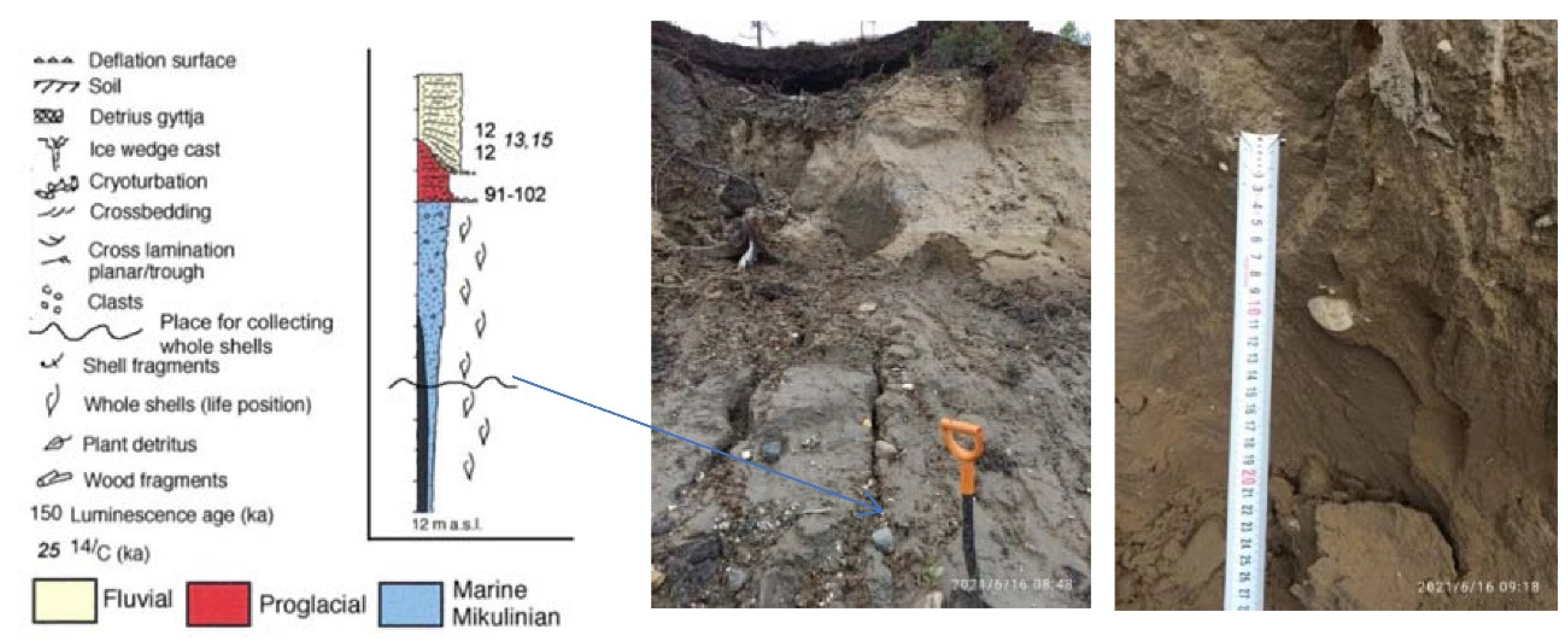 Applsci 12 06988 g006a