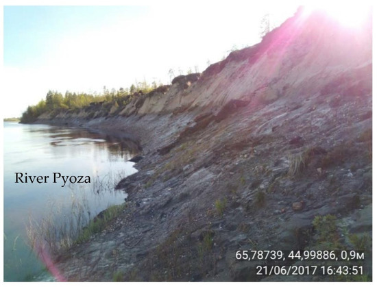 Applsci 12 06988 g006b 550