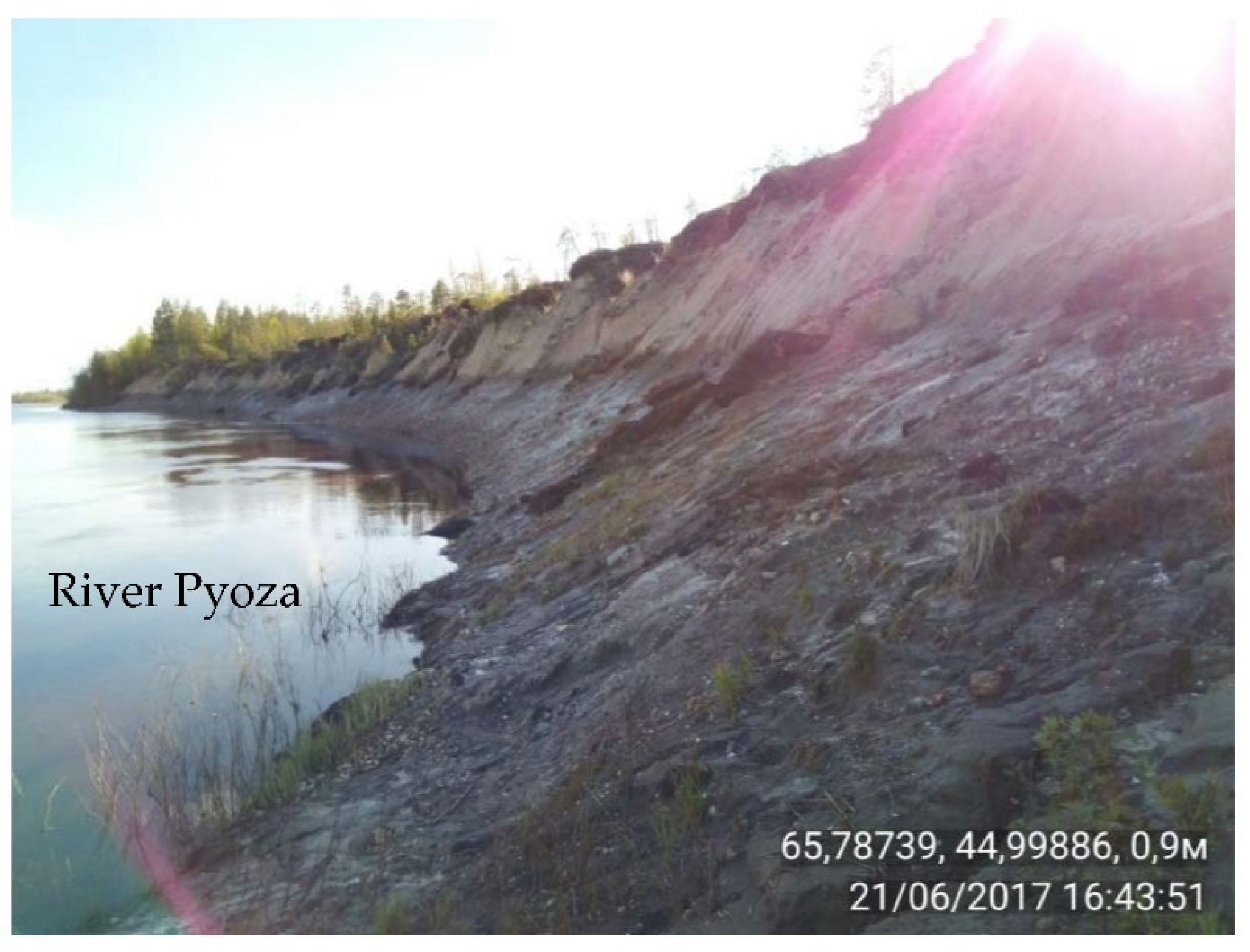 Applsci 12 06988 g006b