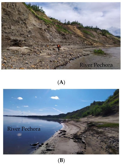 Applsci 12 06988 g007a 550