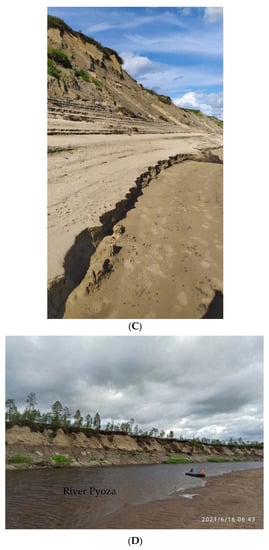 Applsci 12 06988 g007b 550