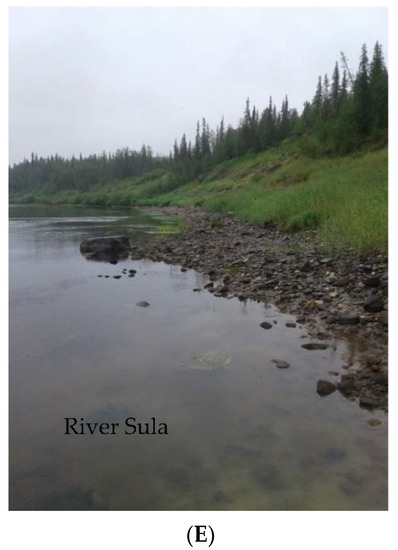 Applsci 12 06988 g007c 550