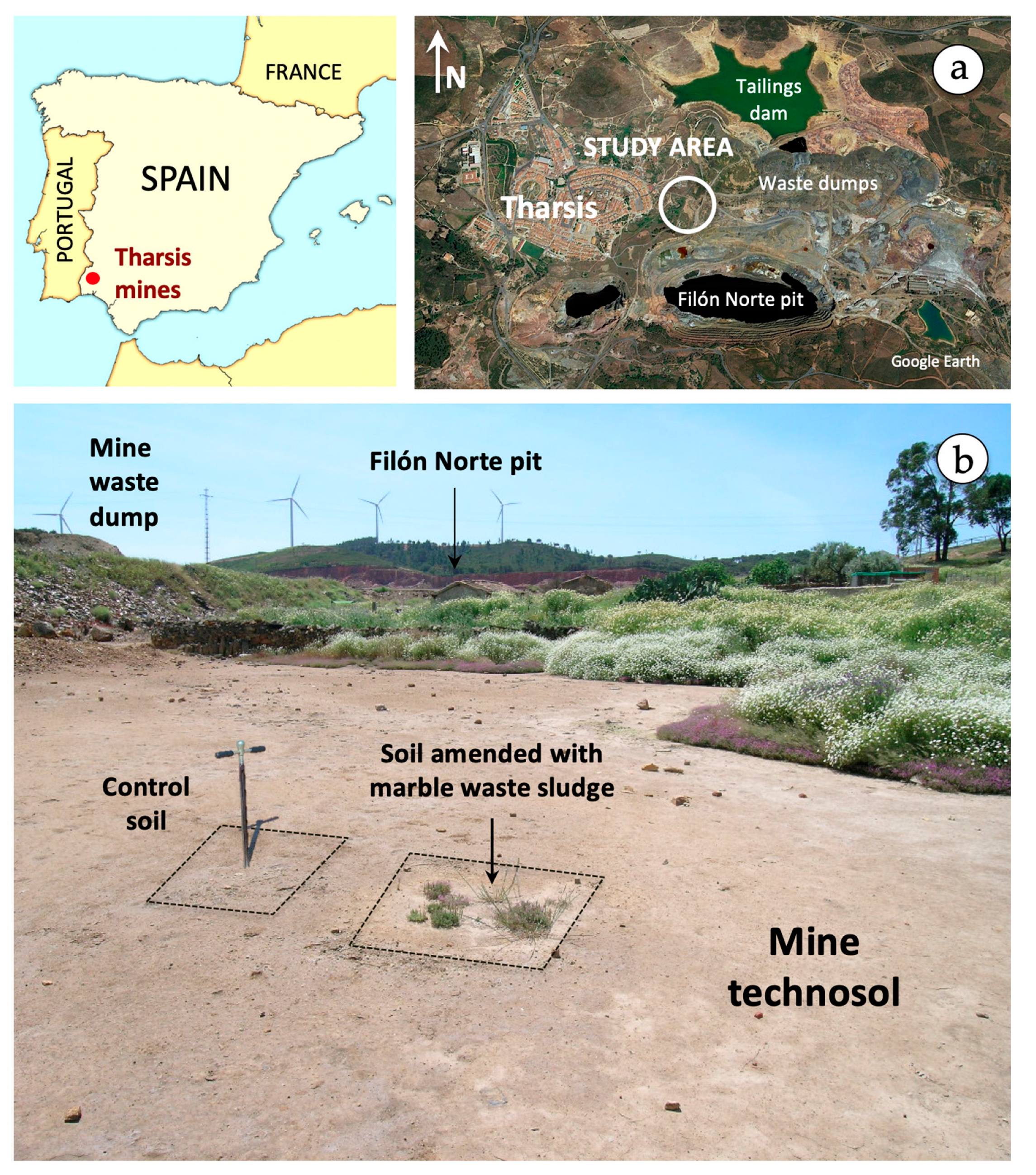 Applsci 12 06998 g001