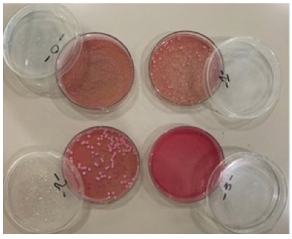 Applsci 12 07004 g004