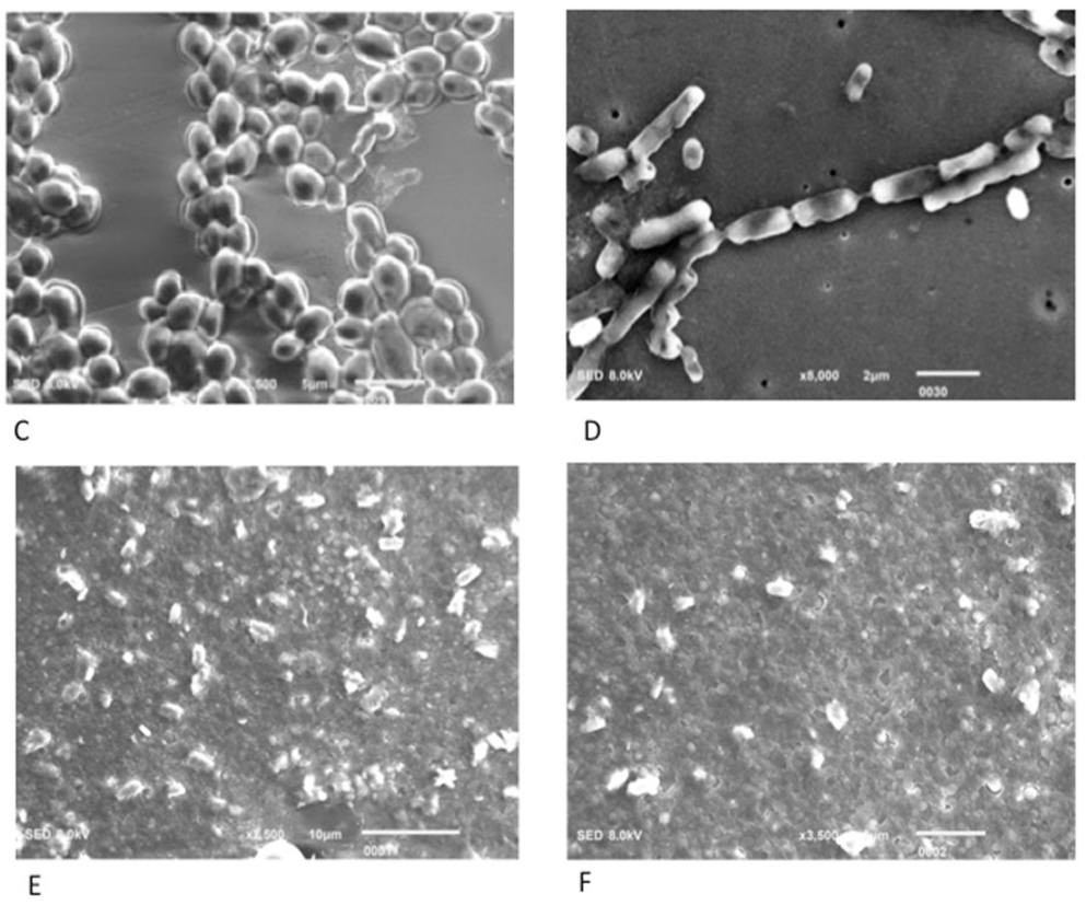 Applsci 12 07004 g006b